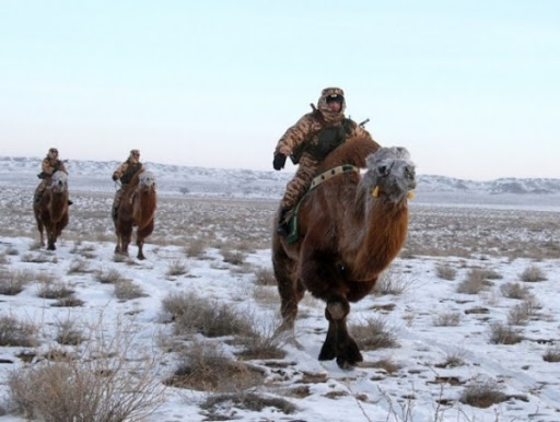Орос, Хятад хилээ бүрэн камержуулж, манай хилчид л тэмээ морьтой “хайчинд” явдаг гэнэ