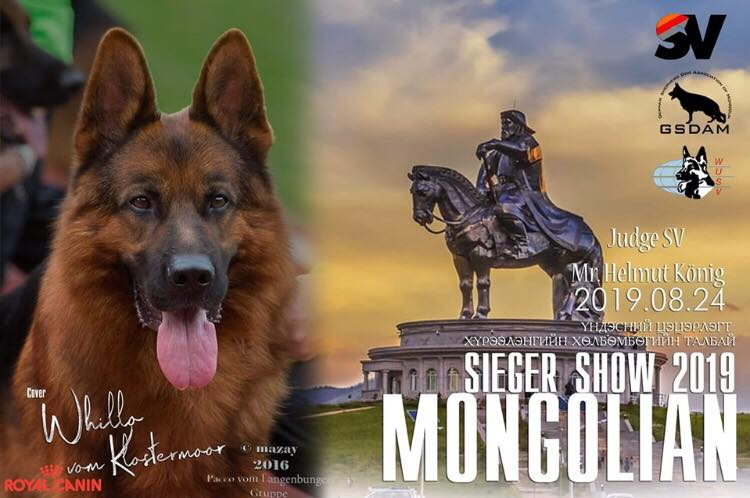 “MONGOLIAN SIEGER SHOW 2019" ирэх бямба гарагт болно