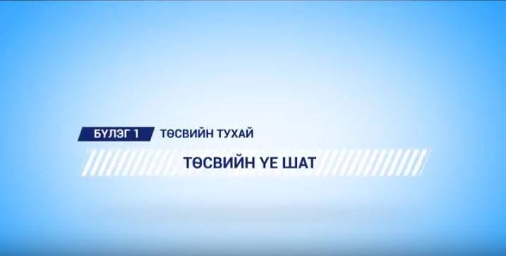 Төсвийн үе шатын тухай