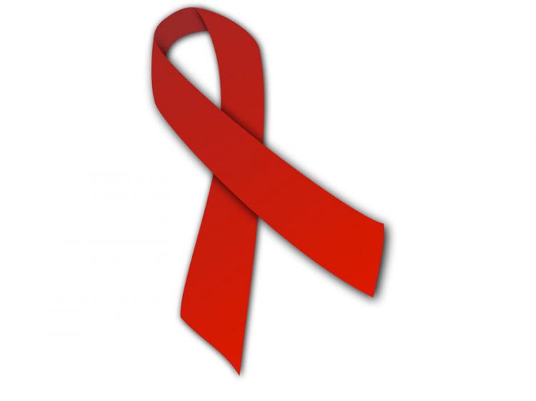 Өнөөдөр ДОХ-той тэмцэх дэлхийн өдөр