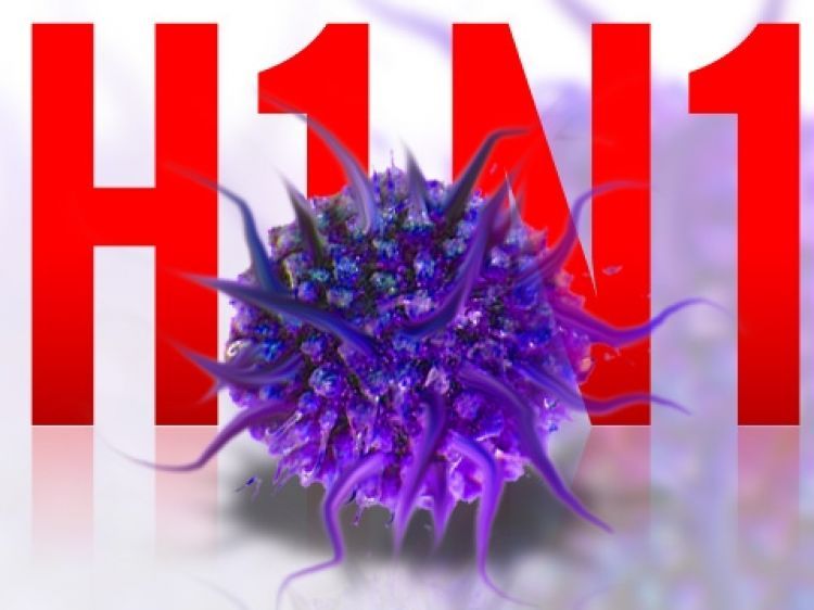 H1N1 вирусийн улмаас Улаанбаатарт дөрөв, Өмнөговь, Говь-Алтай, Дорноговь аймагт тус бүр нэг иргэн нас баржээ