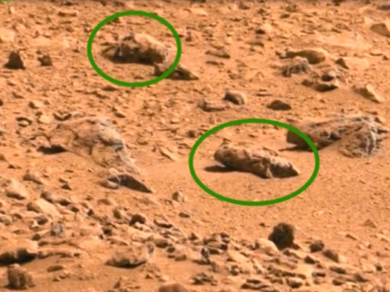 Эрдэмтэд Ангараг гараг дээр шавж амьдардаг болохыг олж тогтоожээ