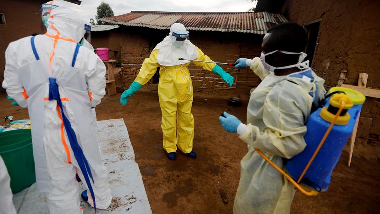 Гвинейд Эбола вирусын халдвар бүртгэгдэж, 4 хүн нас баржээ