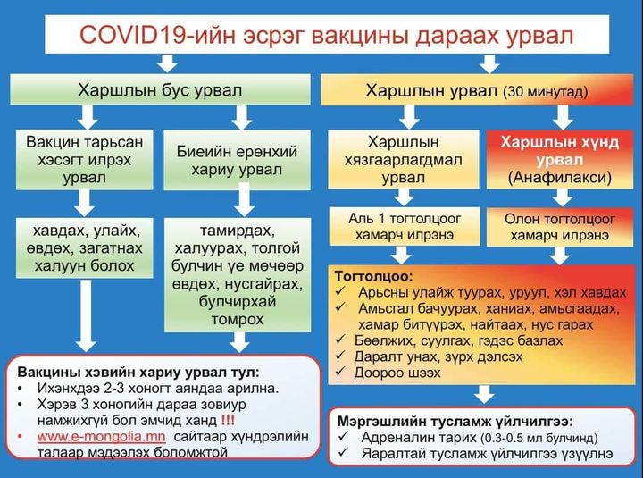 Коронавирусийн эсрэг вакцины дараах хариу урвал хэрхэн илрэх вэ?