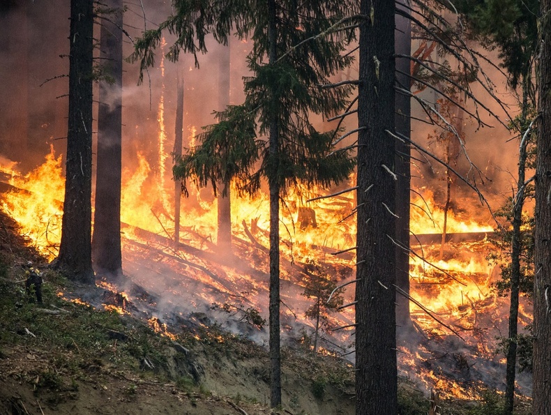 Сибирь болон Алс Дорнодод гарсан түймрийн хэмжээ багасжээ