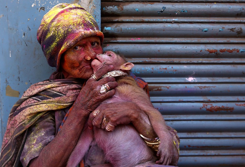 Хинду шашинтнуудын хаврын баярын үеэр тэжээвэр сармагчингаа үнсэж буй эмэгтэй - Ченнай, Энэтхэг