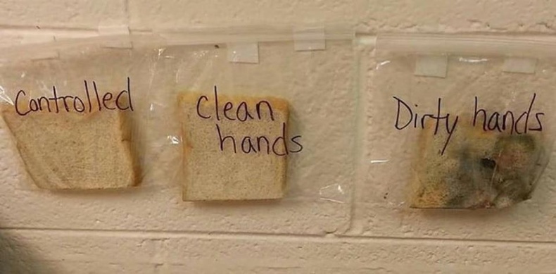 Гараа байнга угааж байх ёстойг хүүхдүүдэд ингэж ойлгуулжээ