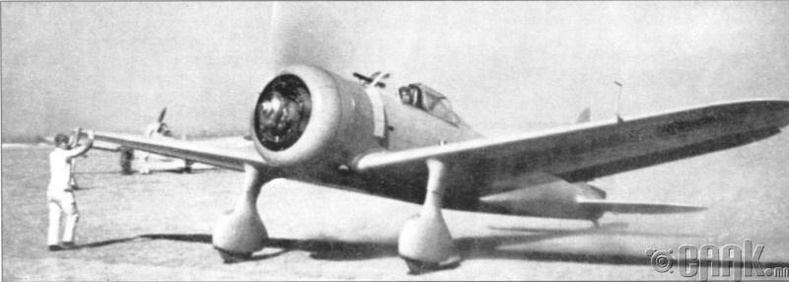 1939 оны Халхын голын тулаанд Квантуны армийн зэвсэглэлд байсан "Nakadzima" сөнөөгч онгоц