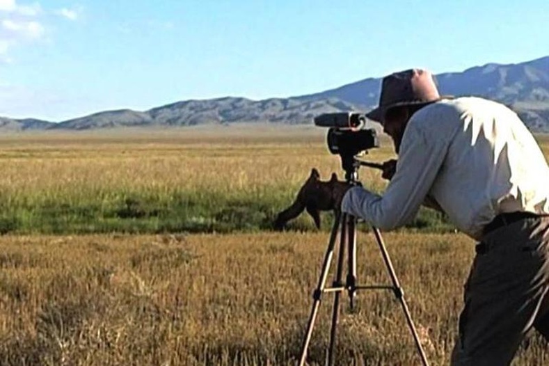 Швед аялагч Монголоос Казахстан руу 5000 км алхаж, кино хийжээ