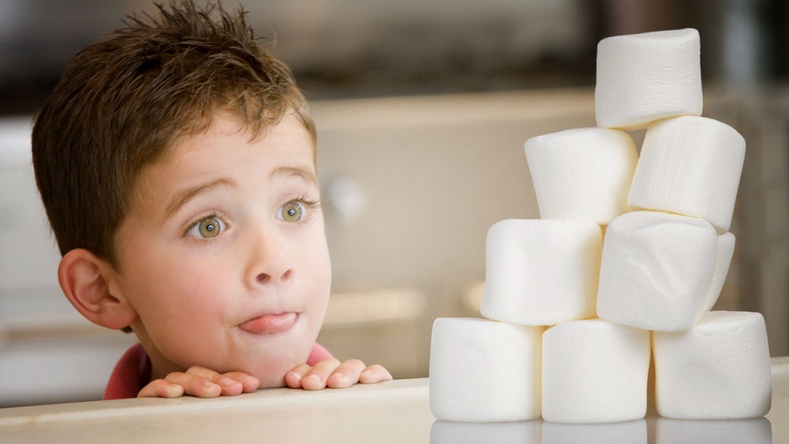 Хөөсөн чихрийн туршилт: Та хүүхдээ том болоод ямар хүн болохыг мэдмээр байна уу?