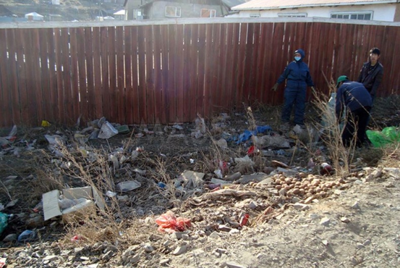 Хүрээлэн буй орчны бохирдол Монголын хүн амын өвчлөлийн гол шалтгаан болж байна