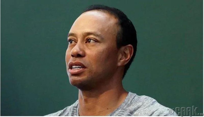 Тайгер Вүүдс /Tiger Woods/ - 800 сая ам.доллар