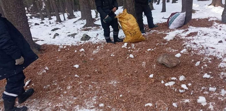 Хөл хорионы үед Богдхан ууланд гарах иргэдийн тоо буурахгүй байна