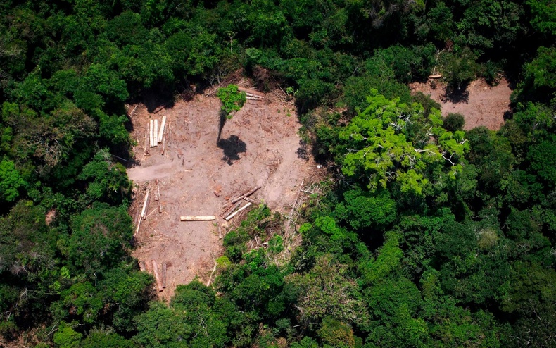 Амазоны уугуул иргэдийн эрхийг хамгаалдаг Бразилын төрийн албан хаагч буудуулж амиа алджээ