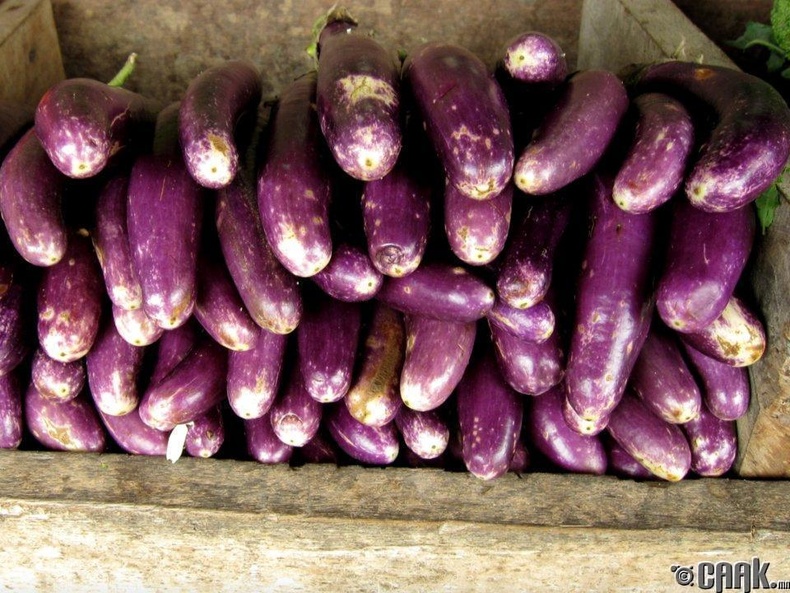 Хаш (Eggplant)