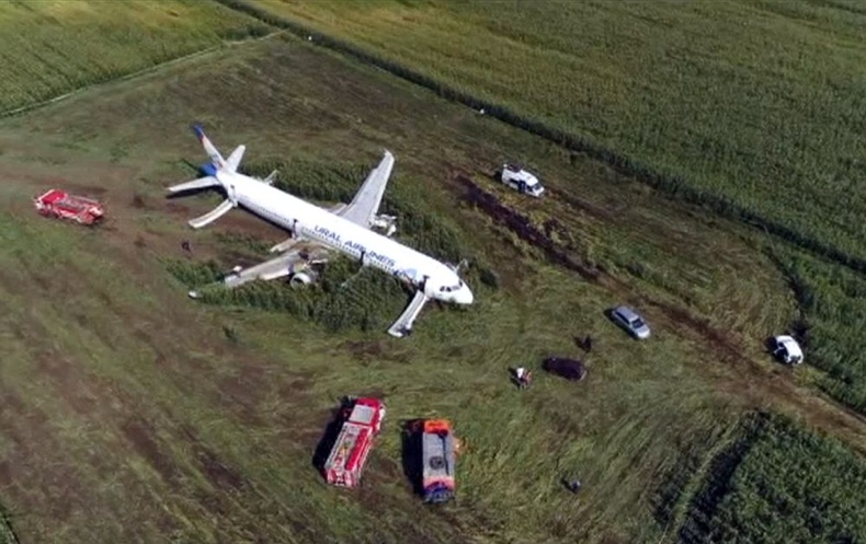 Оросын зорчигч тээврийн онгоц сүрэг цахлайтай мөргөлдөж, ослын буулт хийжээ