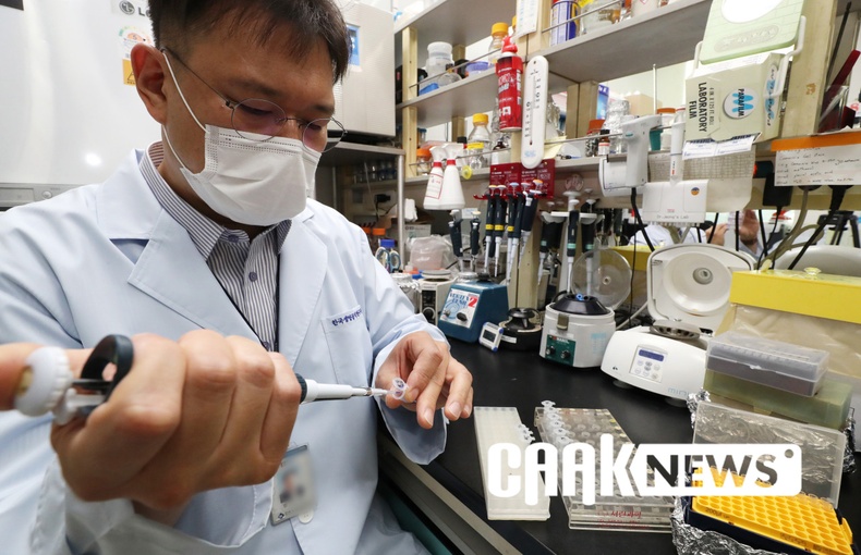 Өмнөд Солонгосын шинэ эмчилгээ коронавирусийг 4-5 хоногийн дотор эдгээж байна