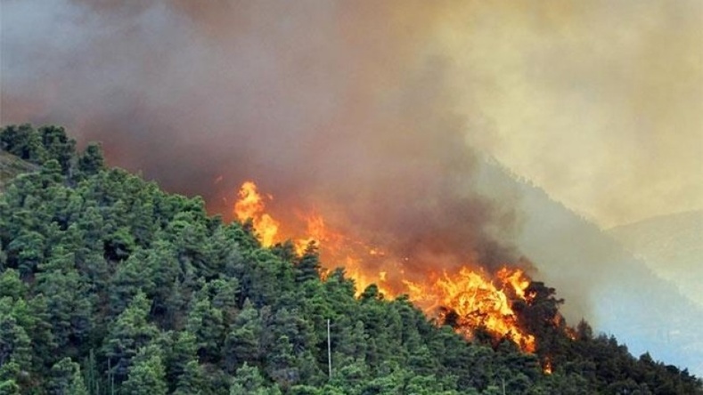 Булган аймагт гарсан ойн түймрийг цурманд оруулав
