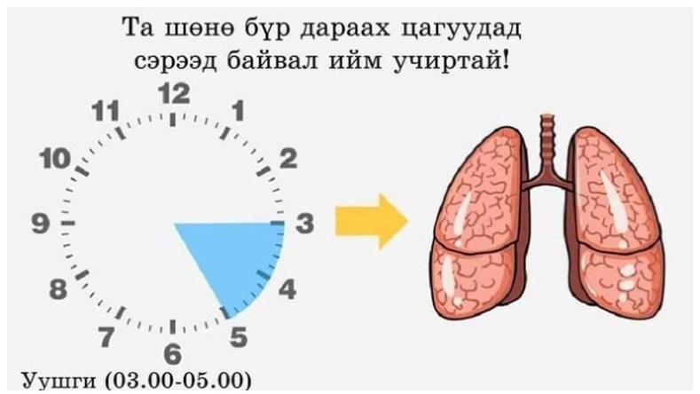 Та шөнө бүр дараах цагуудад сэрээд байвал ийм учиртай!