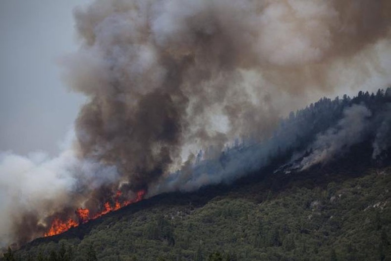 Буриад улсын Закамень аймагтай ойн түймрээс сэргийлэх чиглэлээр хамтарч ажиллана